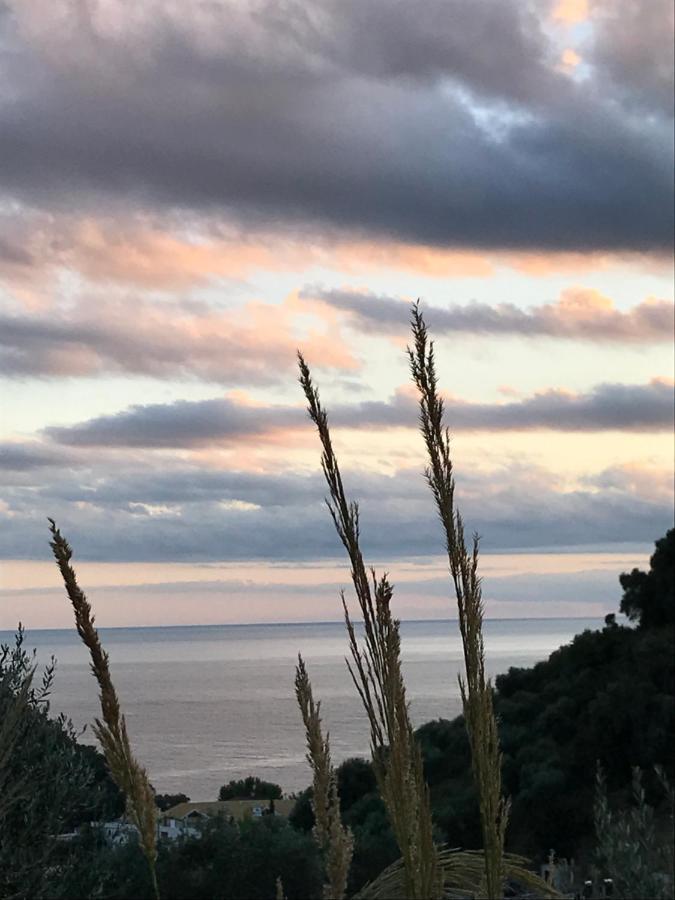 Asaya Hills Villa *