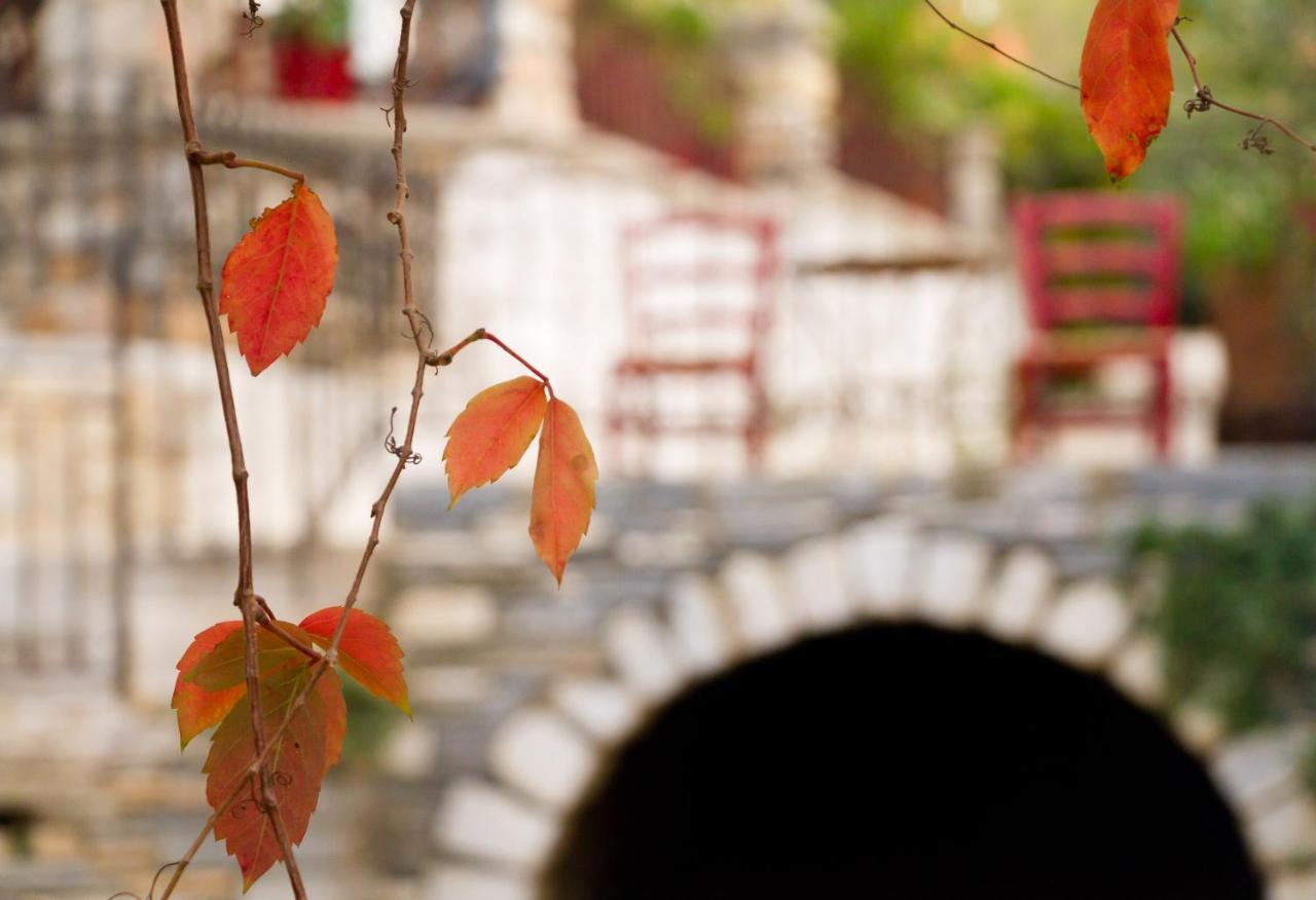 Flora (adults Only) Hotel Naxos City