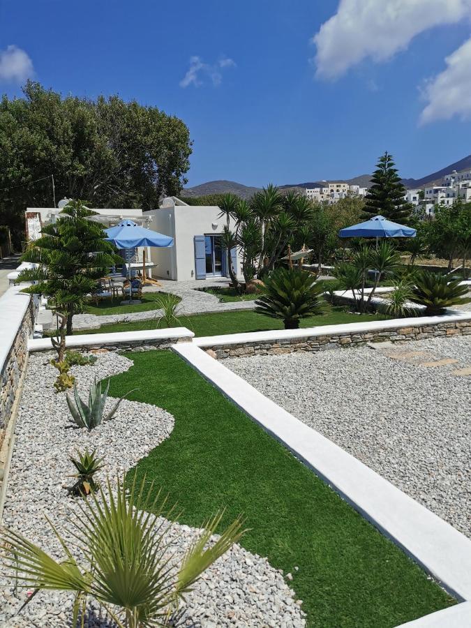 Amorgos Pearls