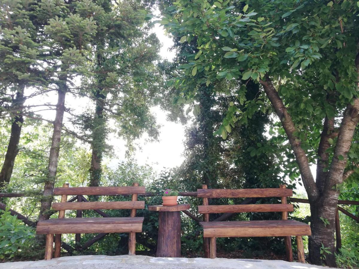 Horizon Guest house