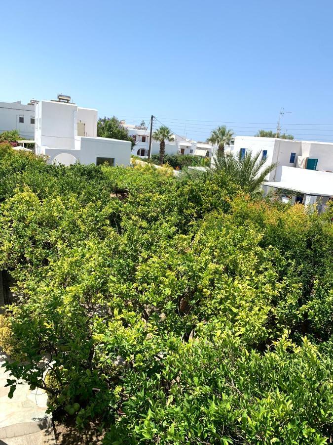Rodia & Apartment