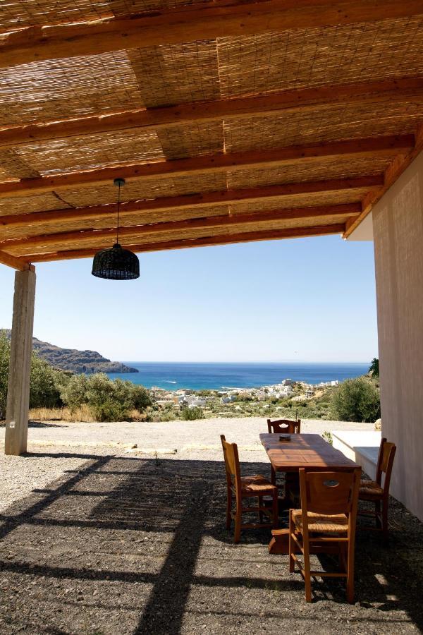 Almond With A Sea View Above *