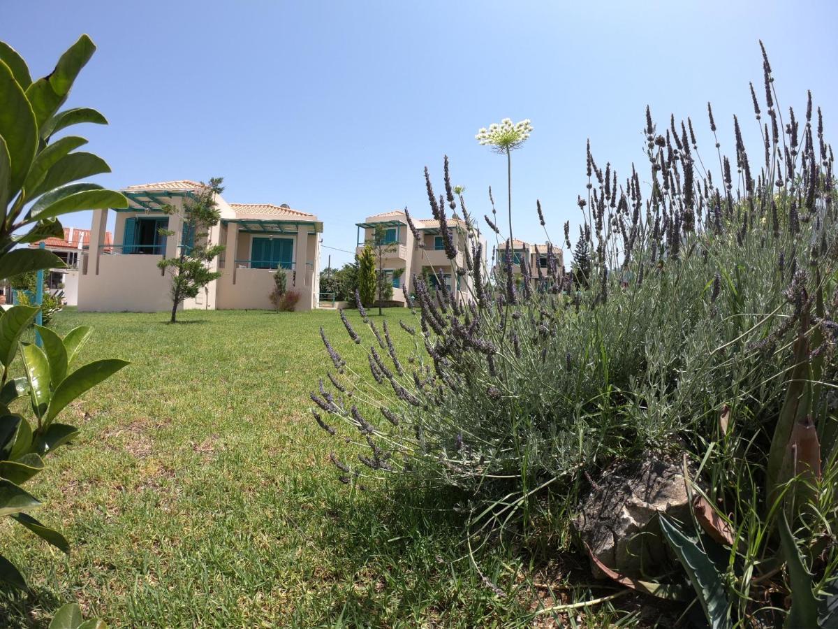 Blue Boutique Guest house