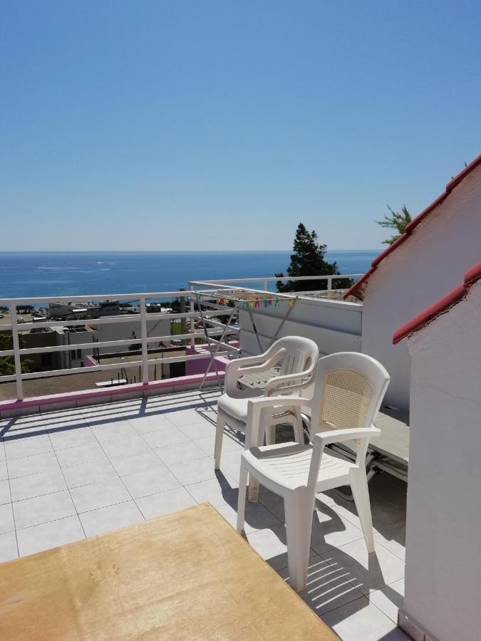 Camelia Apartment *
