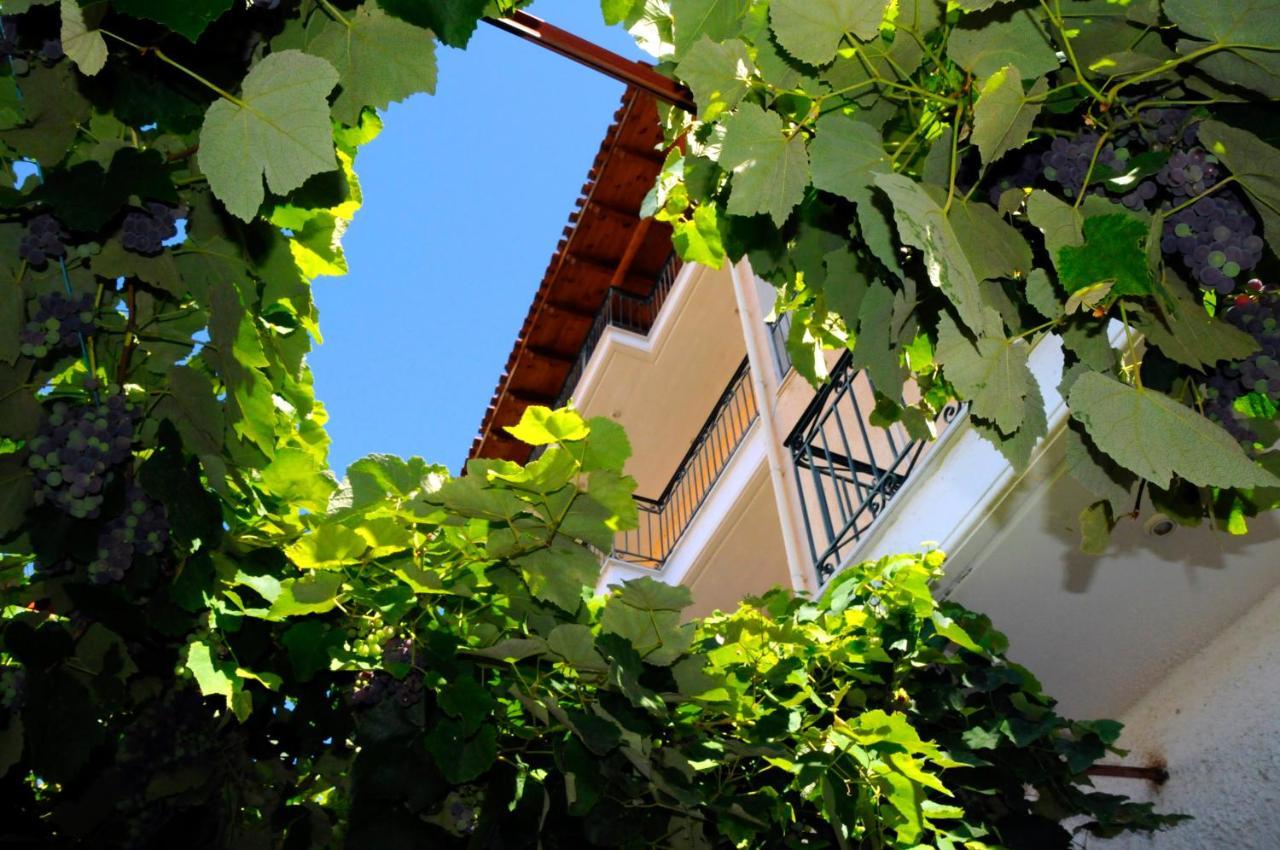Boutique Parnassia Hotel