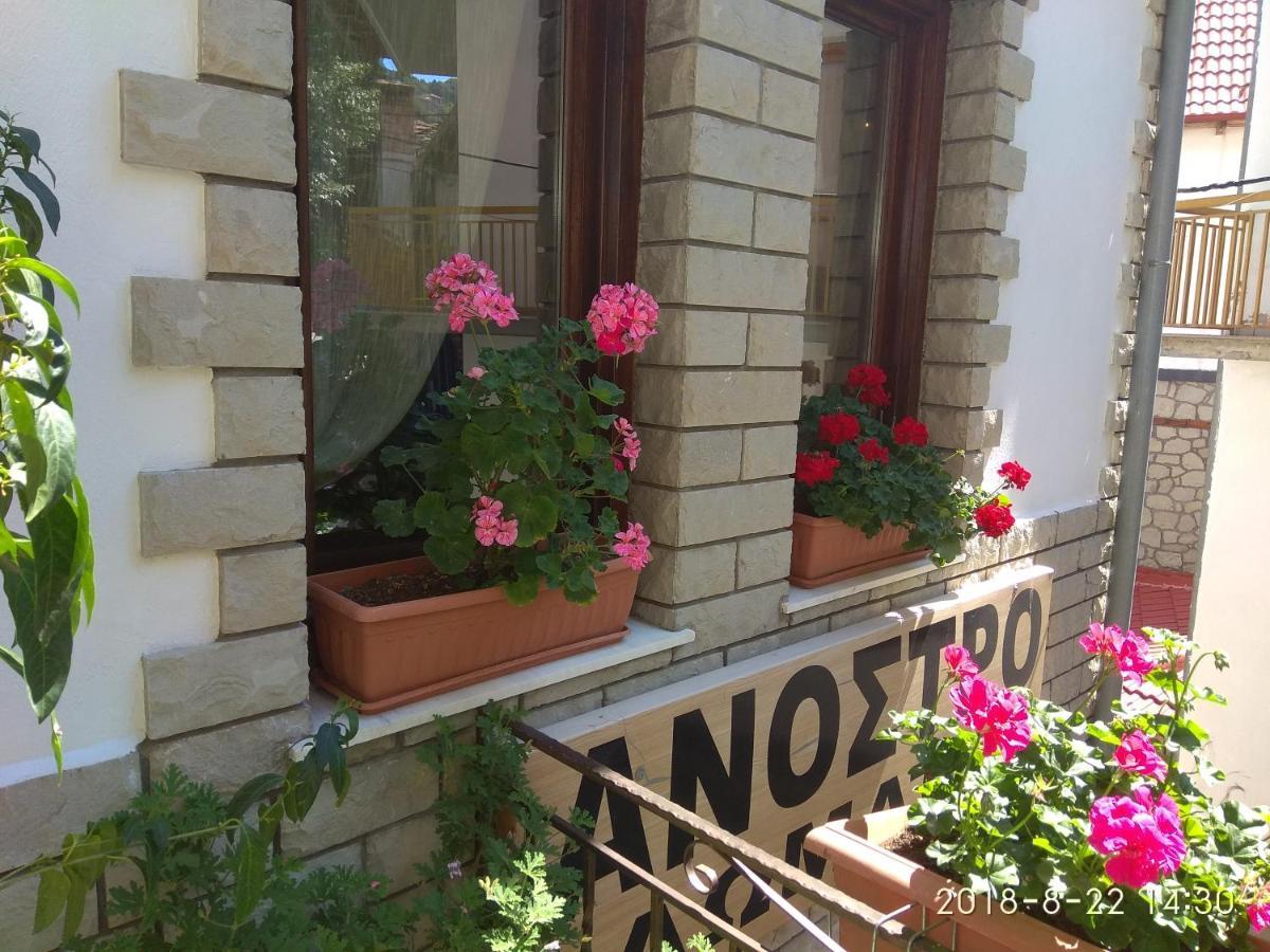 Anostro Guest house Metsovo