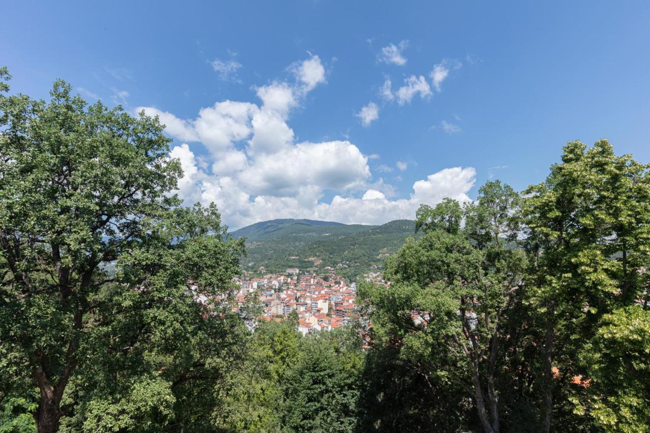 The Lynx Mountain Florina