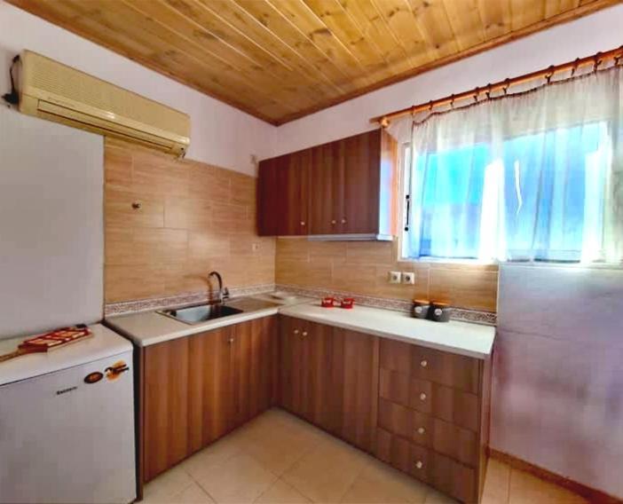 Apartment Irini Studios *