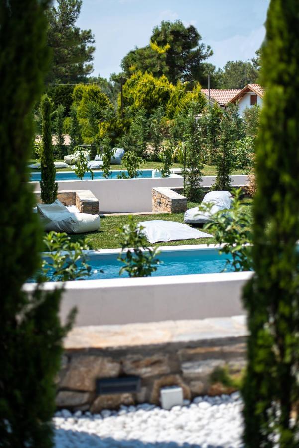 Villa Sunblue Boutique Skala Rachoni (Thasos)