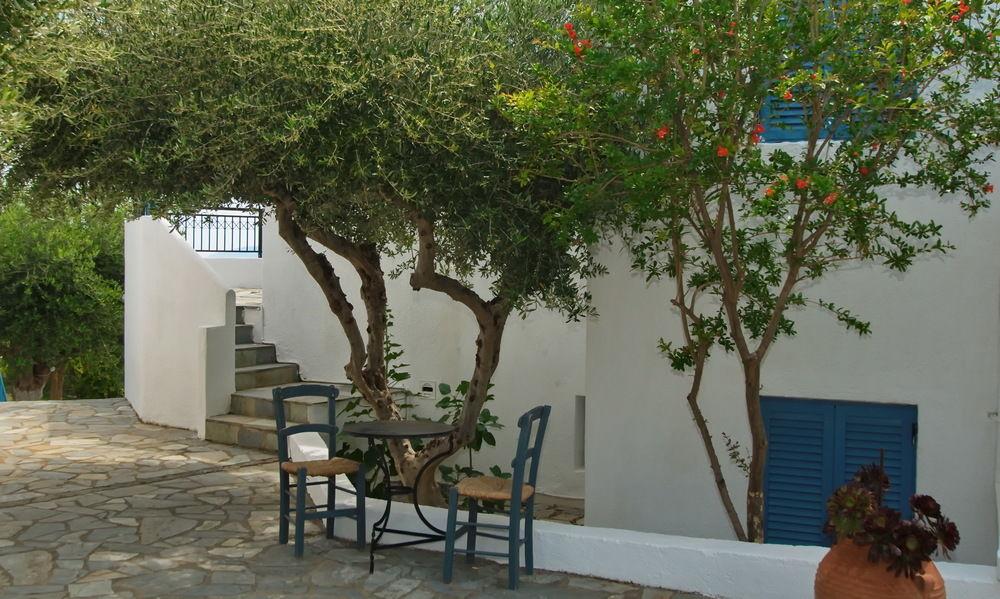 Palatia Village Aparthotel Hersonissos (Crete)