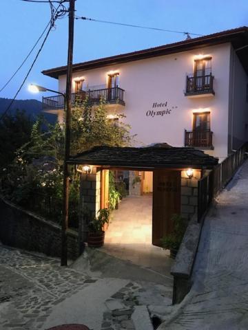 Olympic Hotel Metsovo