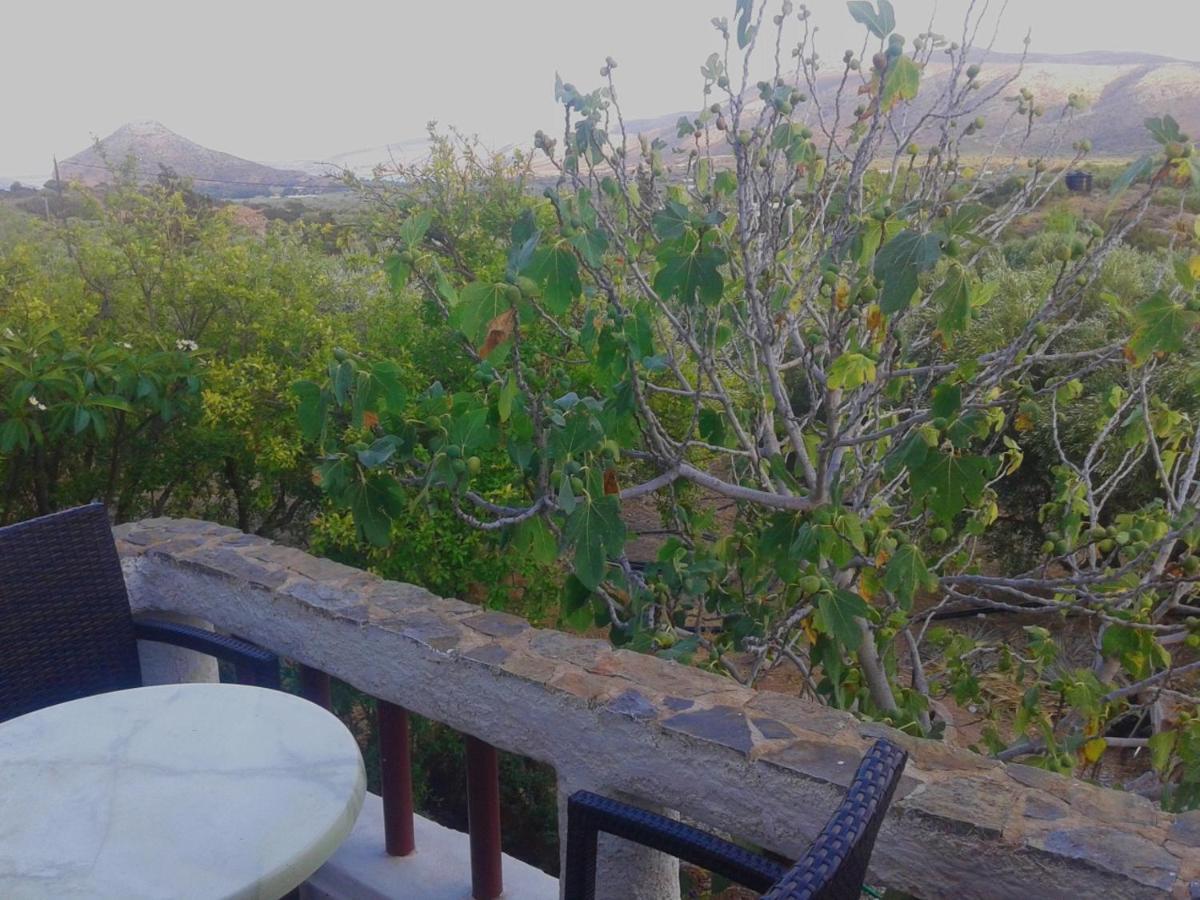 Apartment Sunrise Palekastro