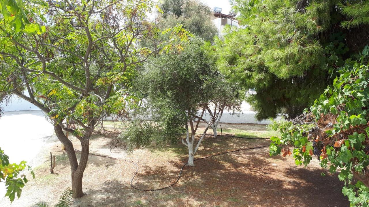 Apartment Chrisanthi Agios Prokopios (Naxos)