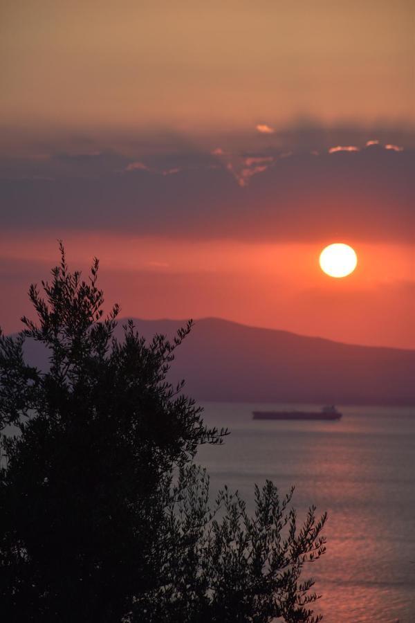 Apartment Blue Yard Kalamata