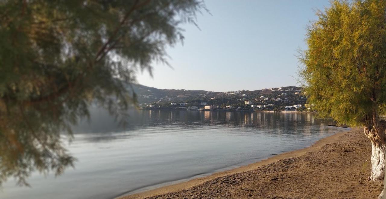 Alea Mare