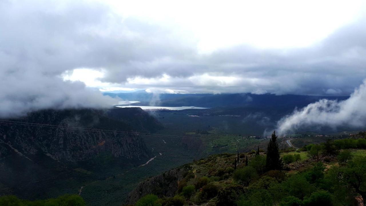 Acropole Delphi