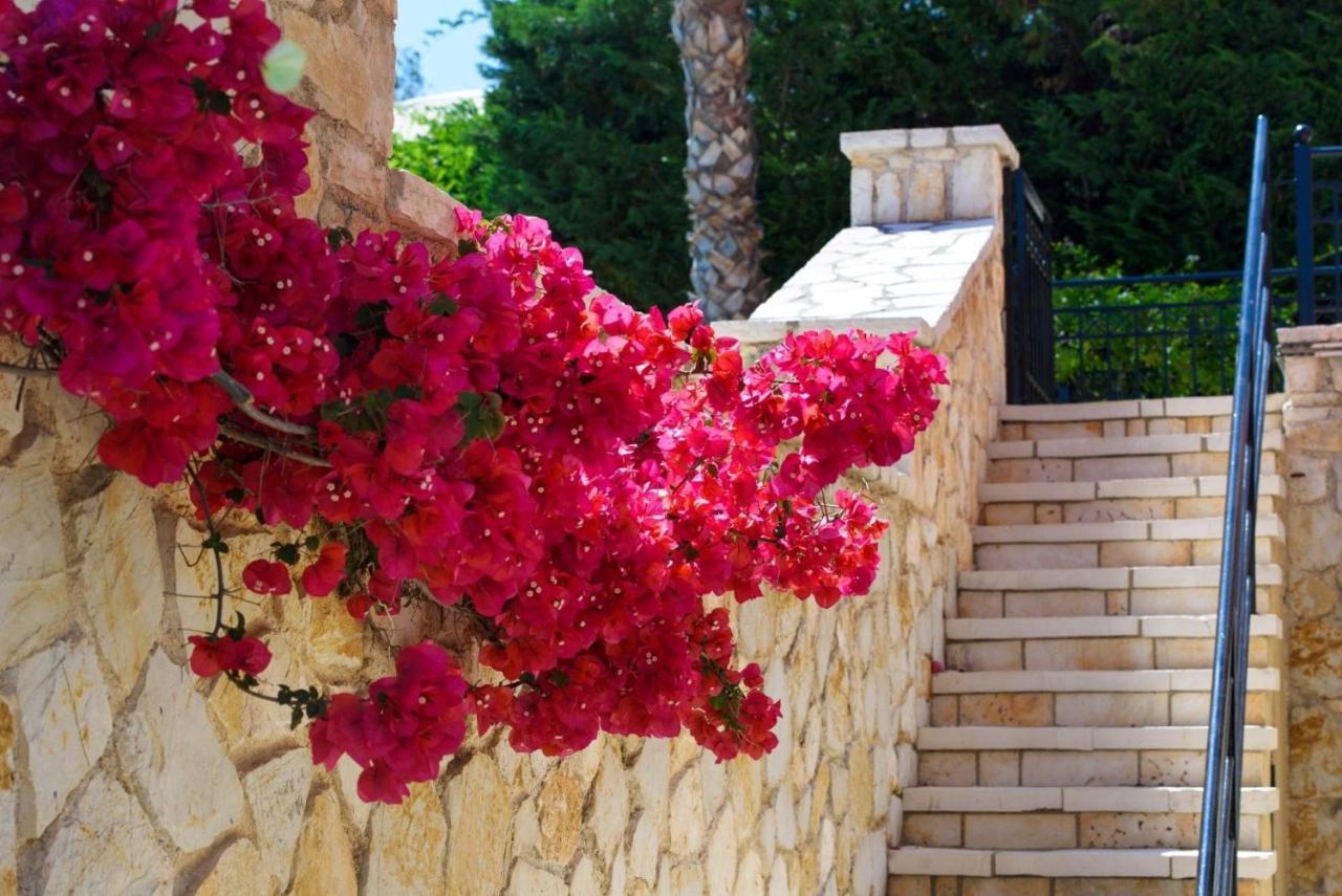 Luxury Corfu Villa Villa Dassia Rose Private Pool 4 Bedrooms Villa Dafnila