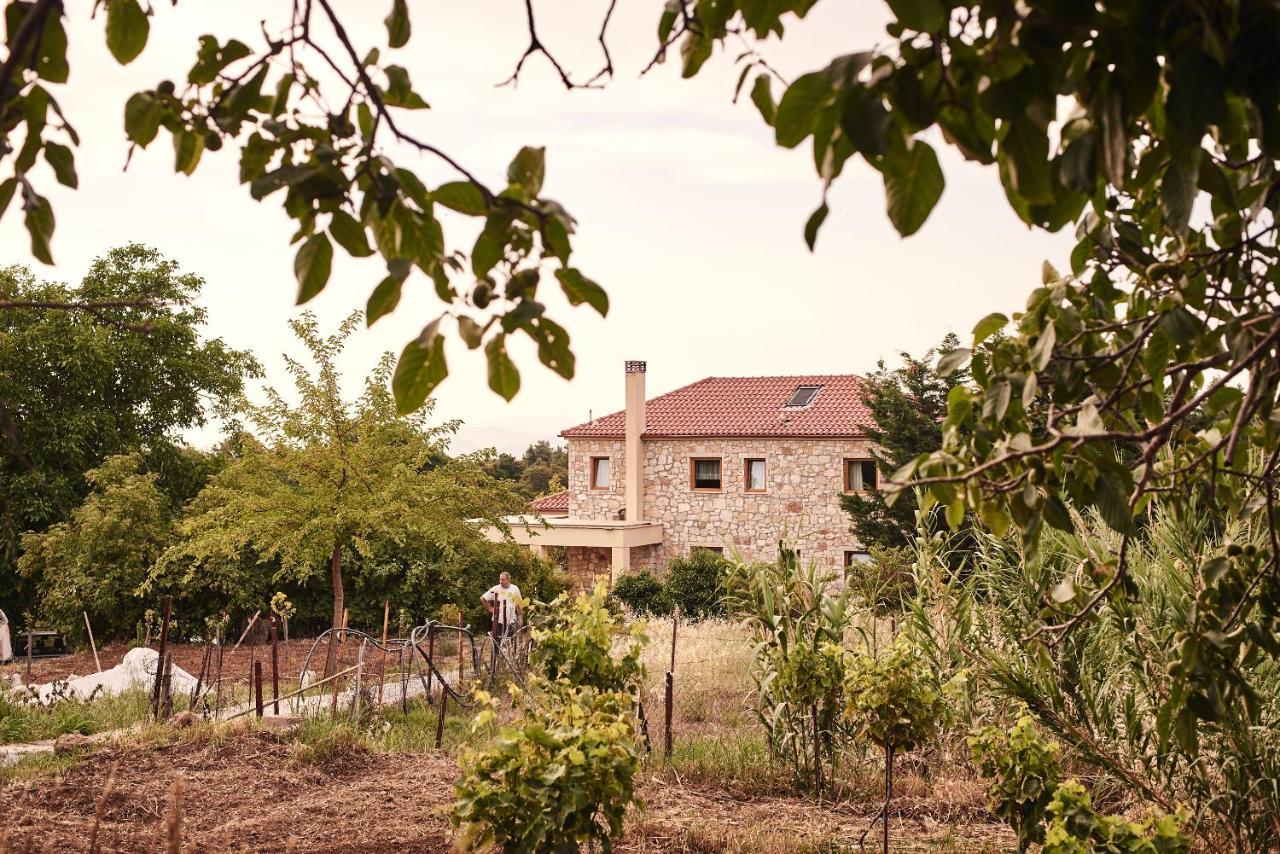 Elisson Guest house