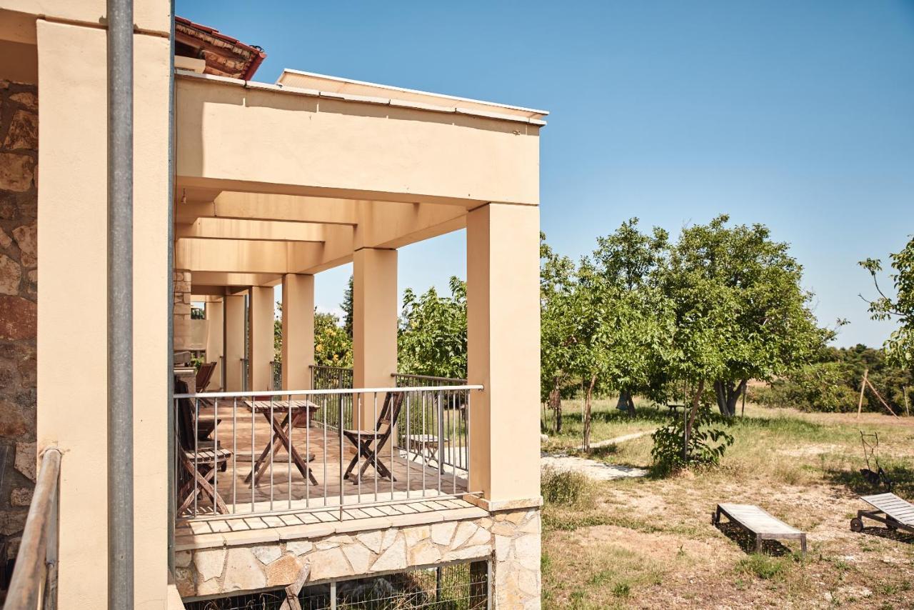 Elisson Guest house