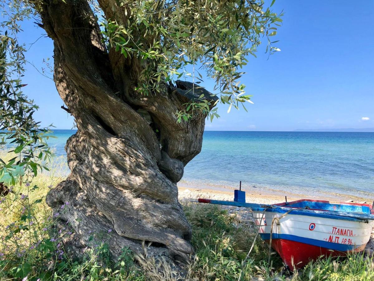 Byblos Luxury Villas Byblos Chateau Villa