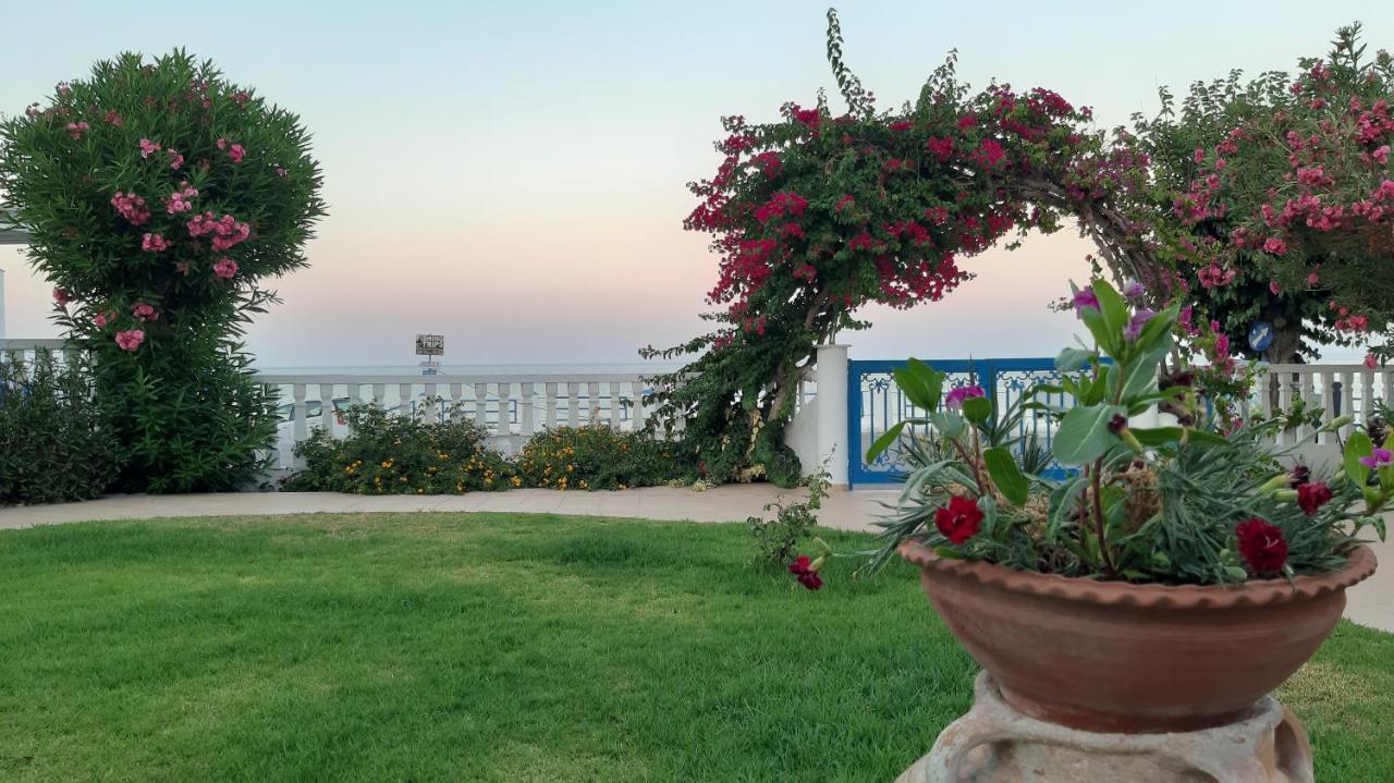 Antonios *