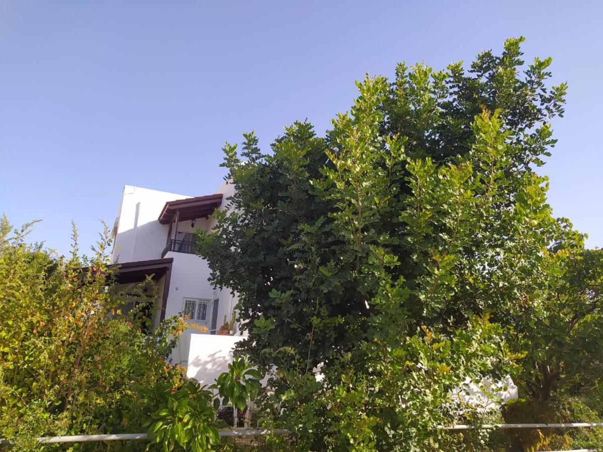 Mear - Cretan Summer Getaways Apartment