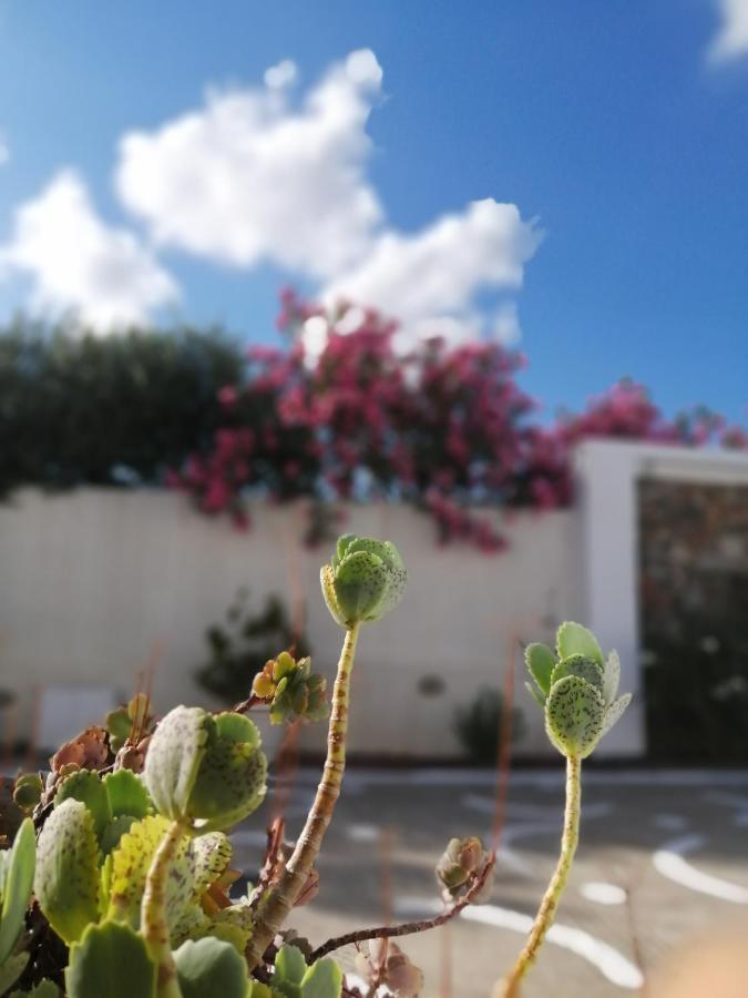 Mouras Livadi (Astypalaia)