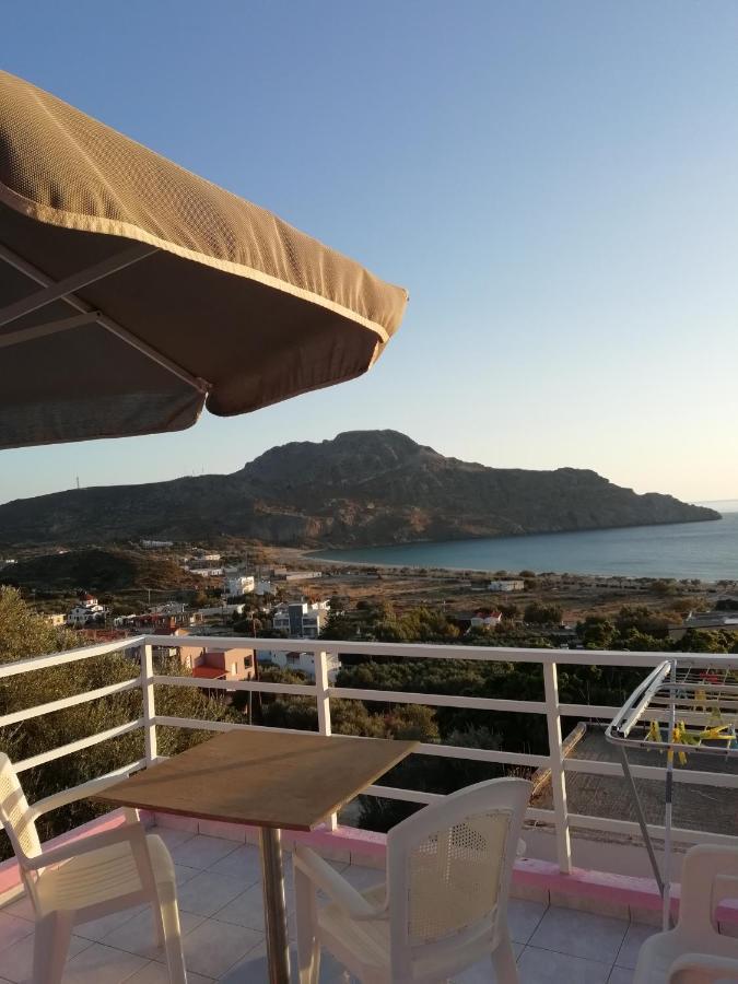 Camelia Apartment