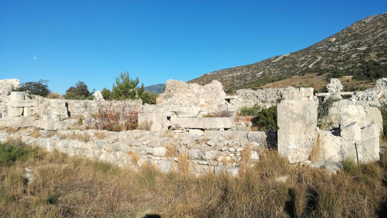 Apollon 2* Pythagoreio (Samos)