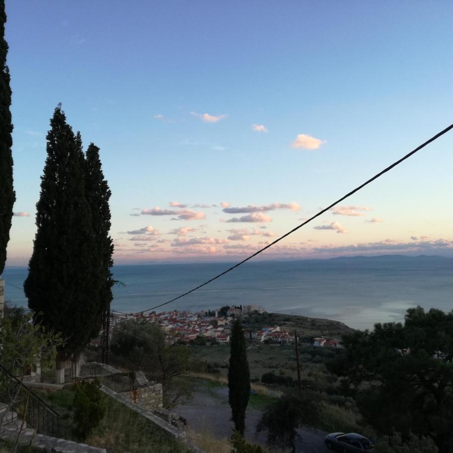 Apollon Aparthotel Pythagoreio (Samos)