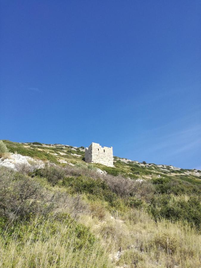 Apollon 2* Pythagoreio (Samos)