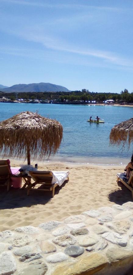 Blue Paradise