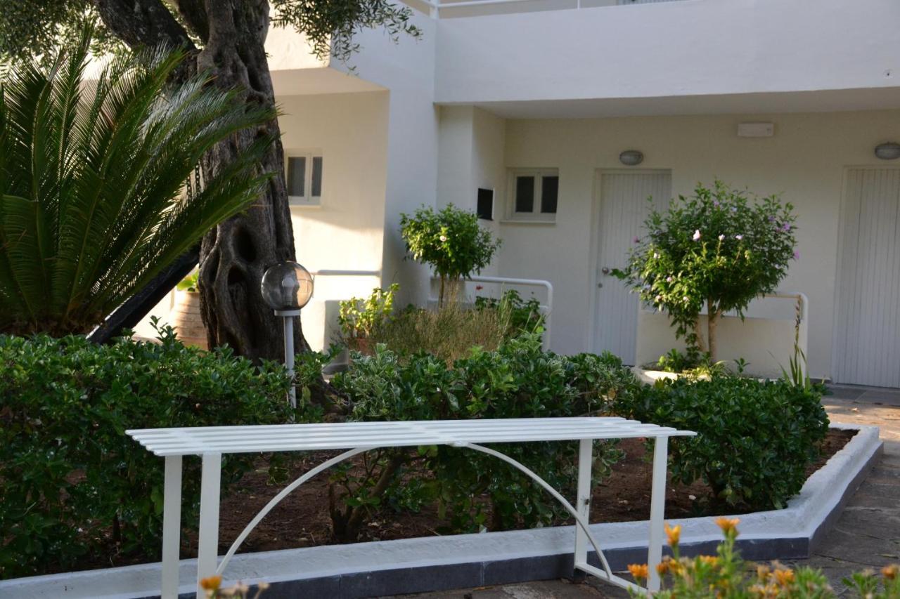Hotel Dassiaholidayclub