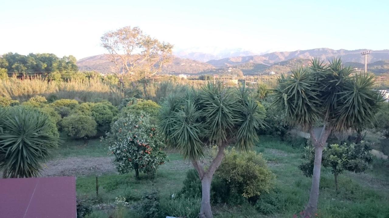 Casa Patriko 3* Perivolia (Theriso)