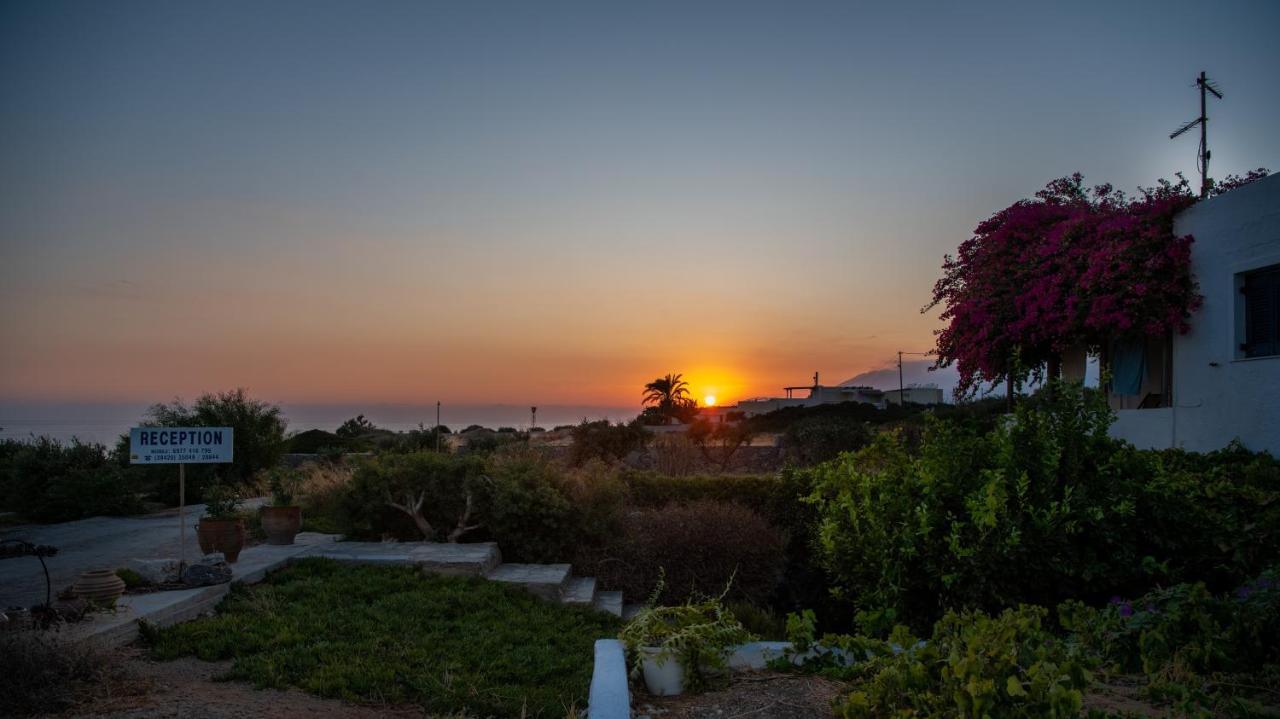 Margarita * Ierapetra (Crete)