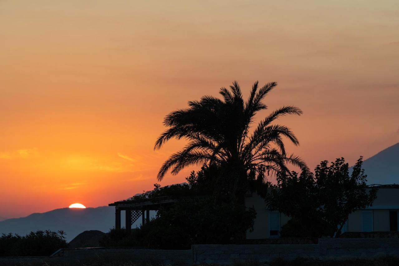 Margarita Ierapetra (Crete)