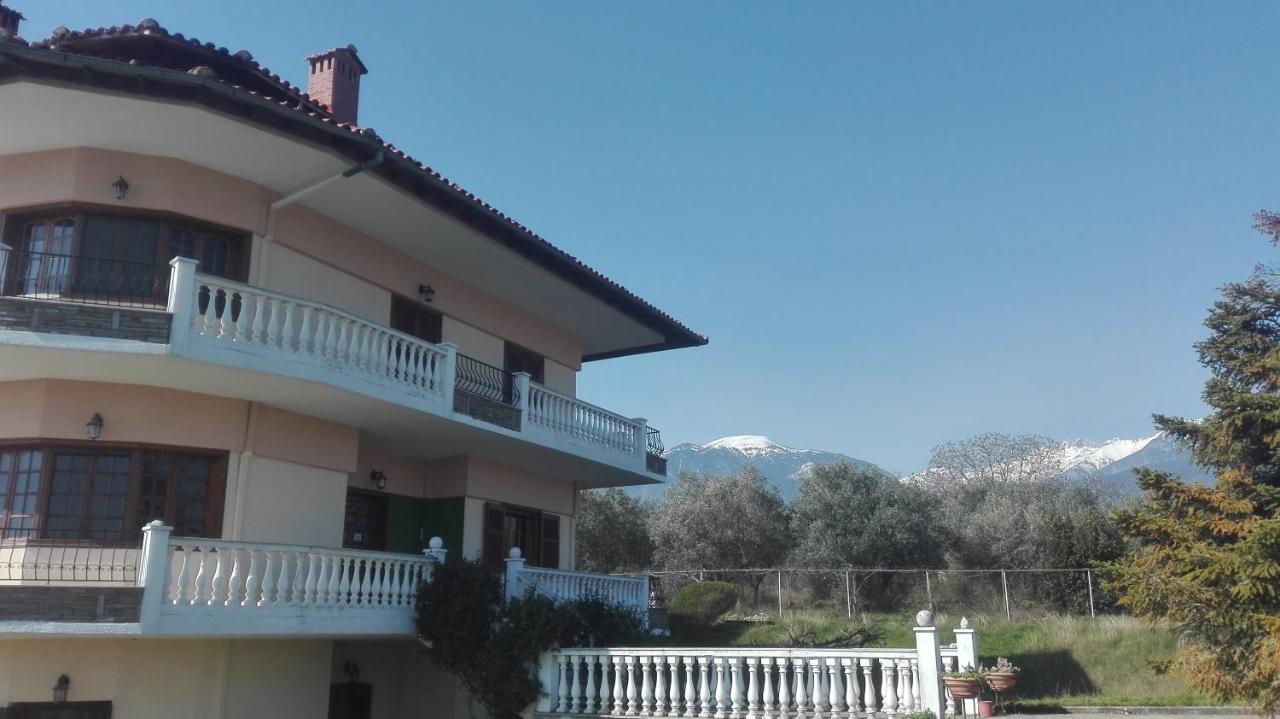 House With A View