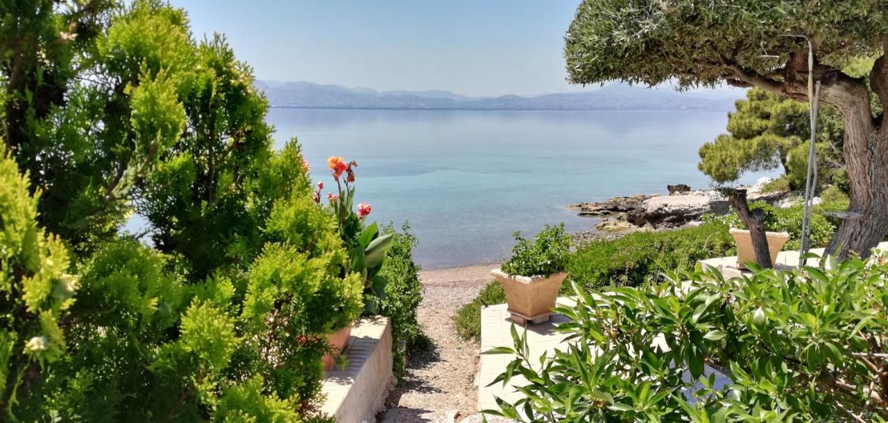 Oikonomou Luxury Villa *