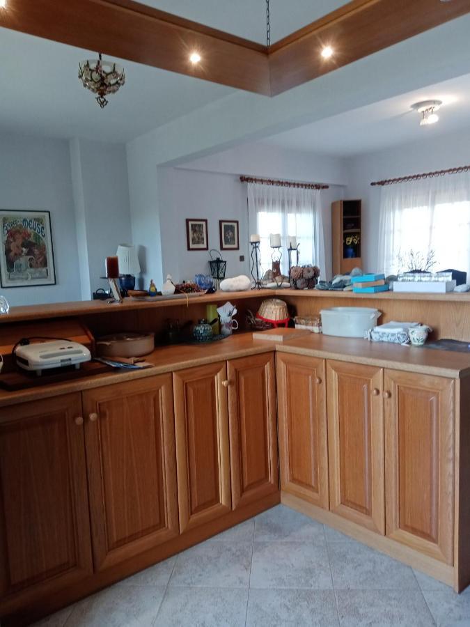 Villa House With A View Litochoro