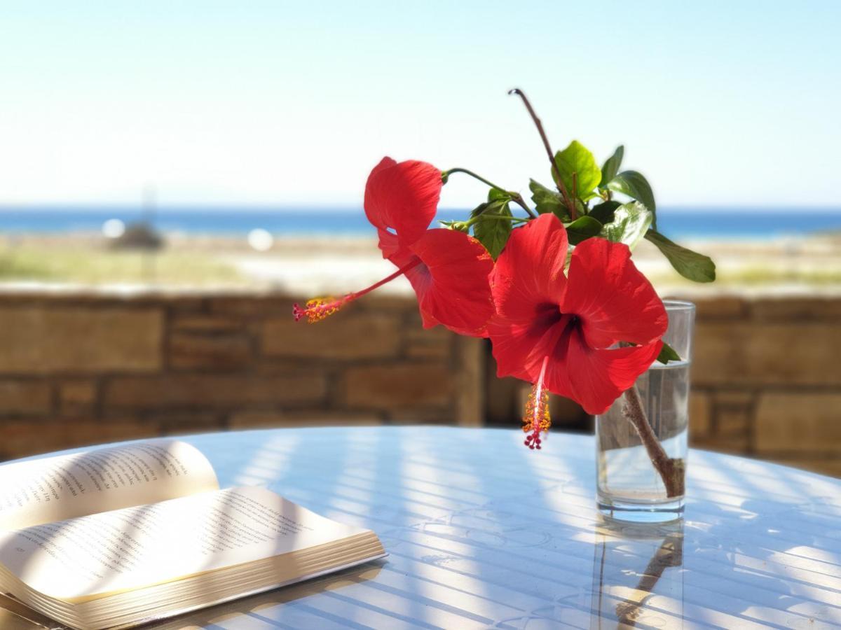 Kyma - Naxos Apartment