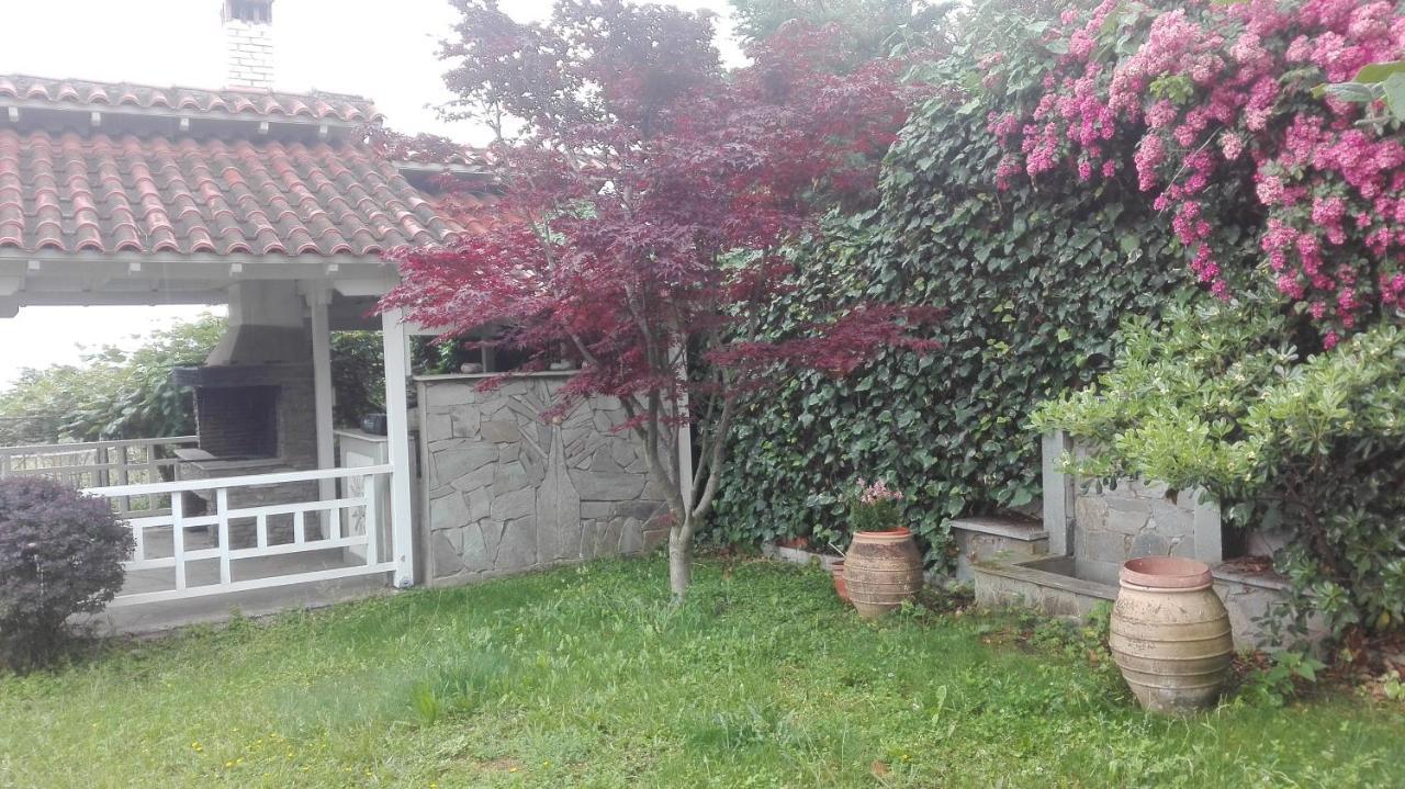 House With A View *