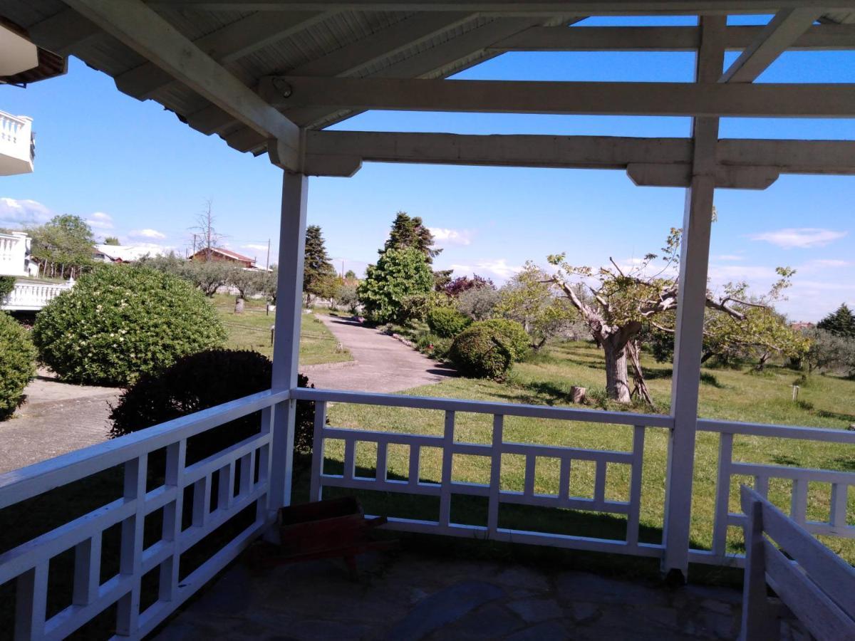 House With A View