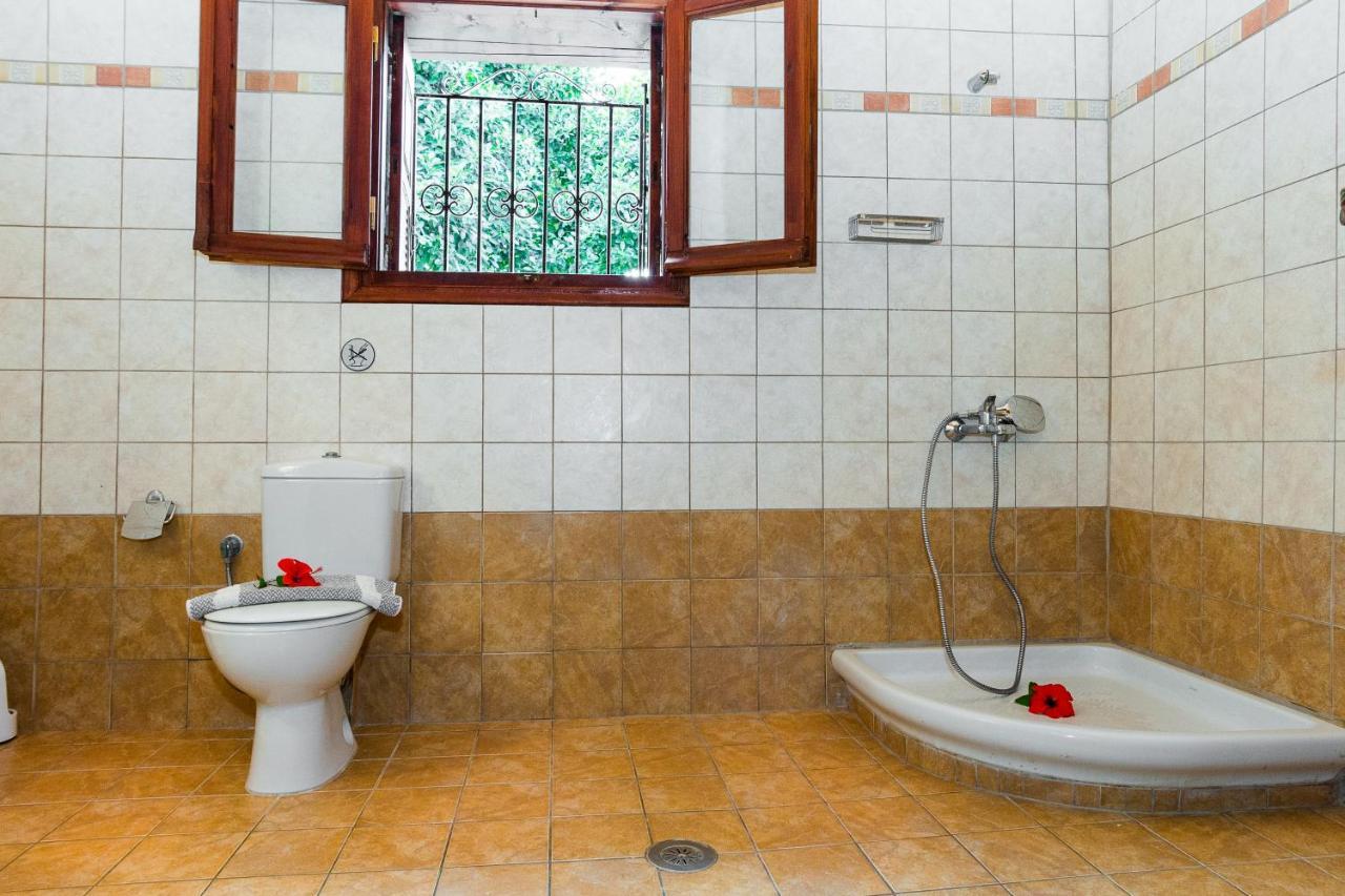Artemis Vassilikos Aparthotel