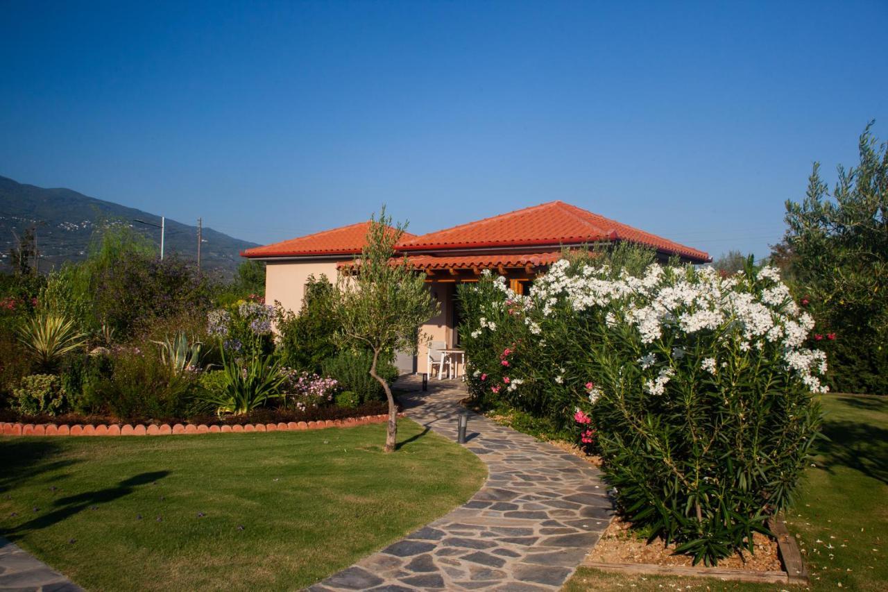 Holiday home Elite Kato Lekhonia