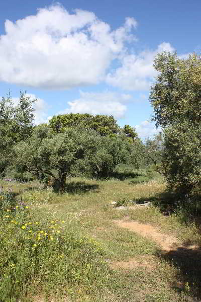 Aparthotel Lofos Soilis