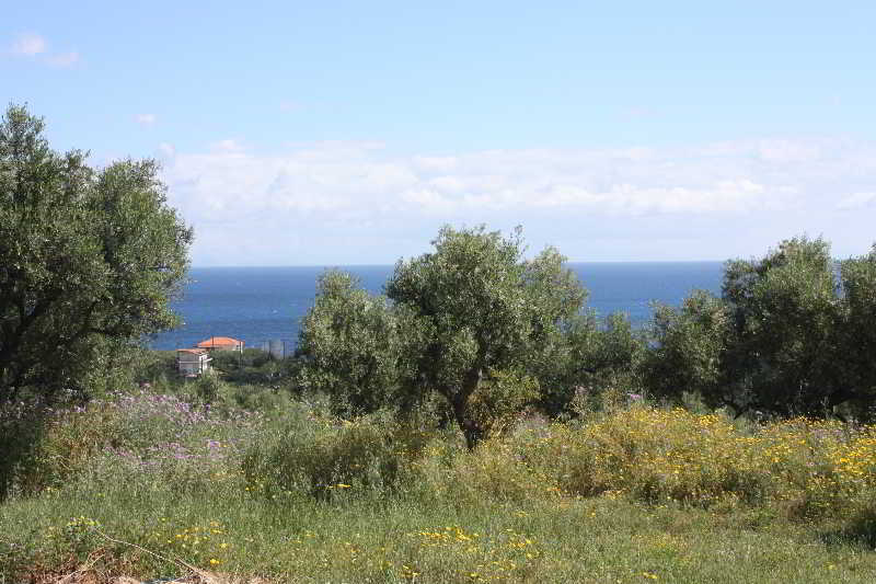 Aparthotel Lofos Soilis 3*