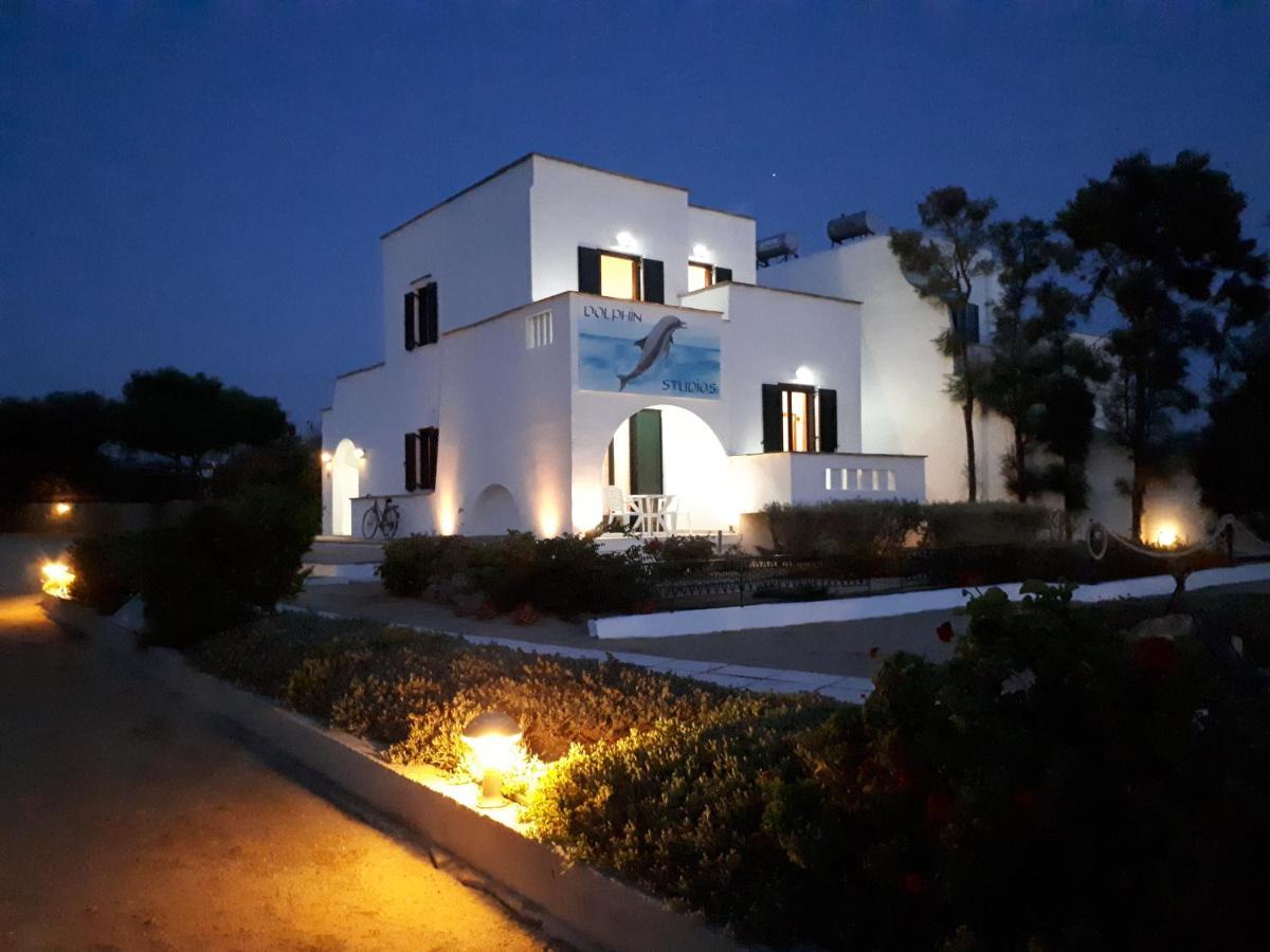 Dolphin * Agia Anna (Naxos)