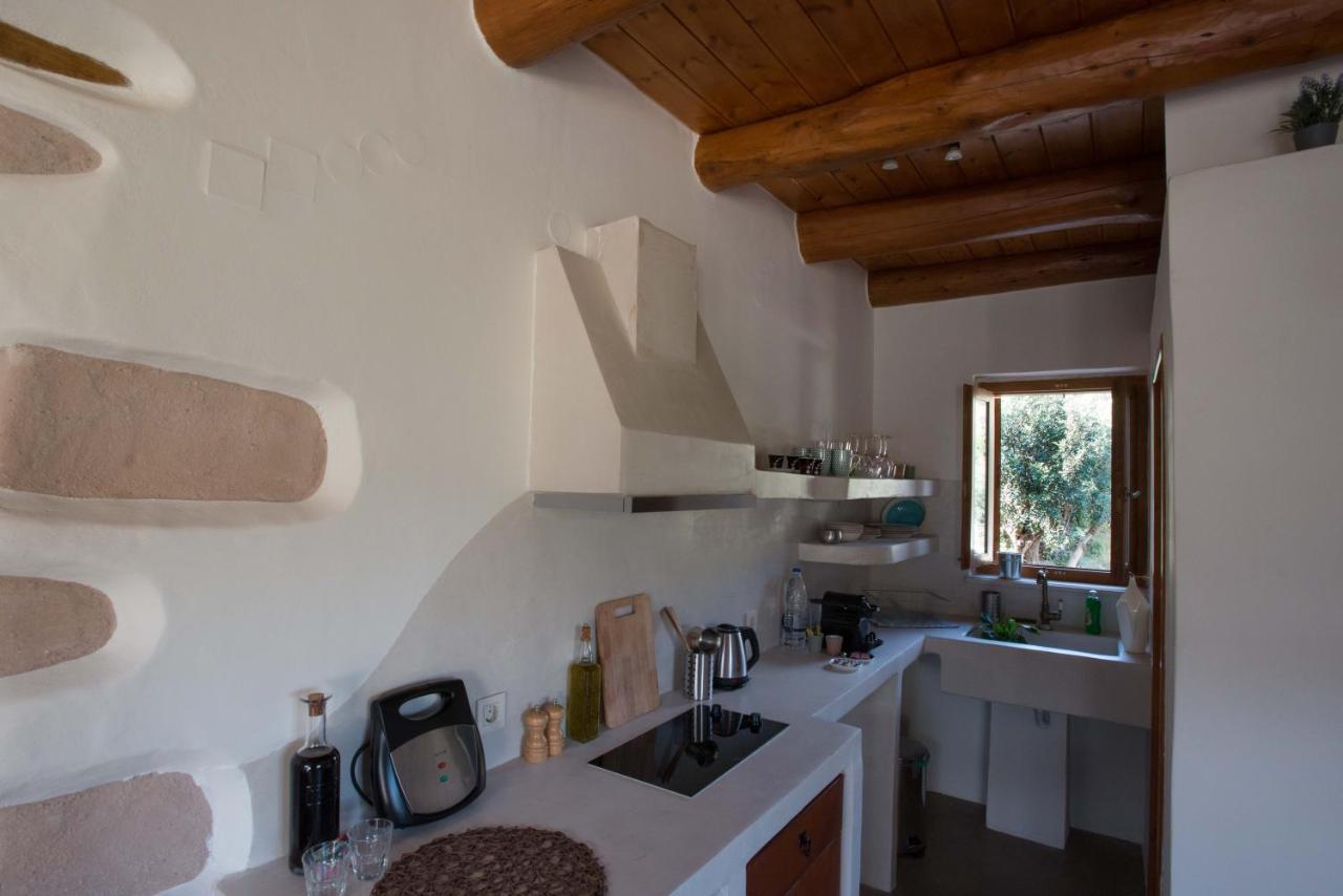 Apartment To Spiti Mas