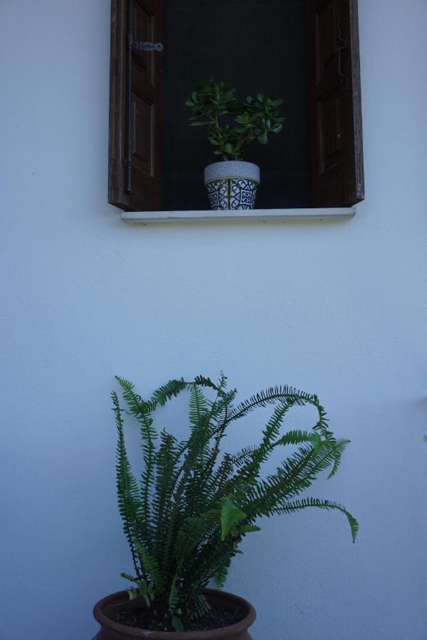 Artemisia House Guest house *