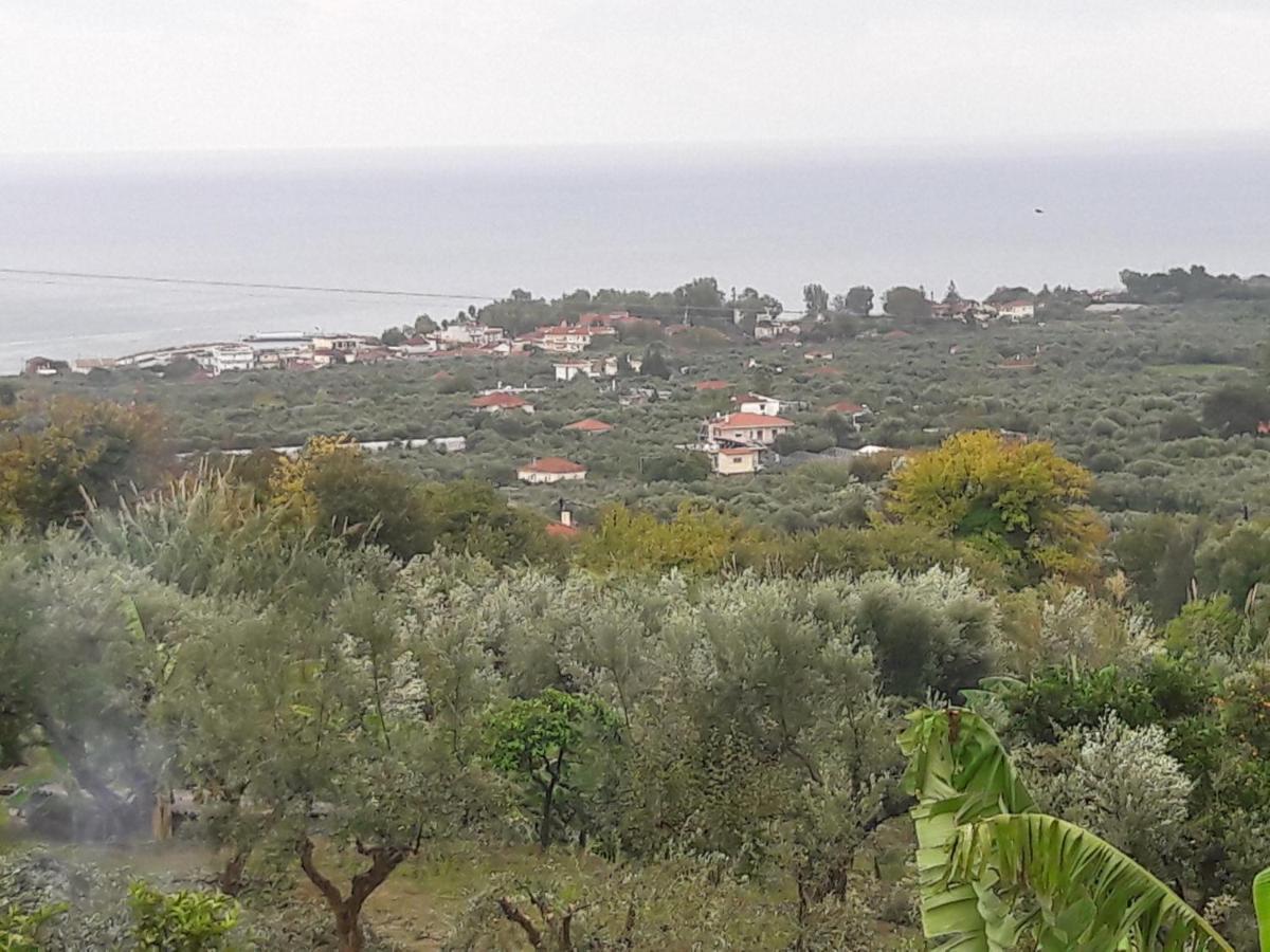 Estella Sorelle 1 Holiday home Longa